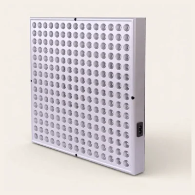 Se09b5ad0b931418082202781efbac4b5b.webp Panneau LED visage et corps 225 LED