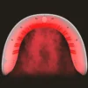 Arche LED de soin visage 7 couleurs avec pulvérisateur